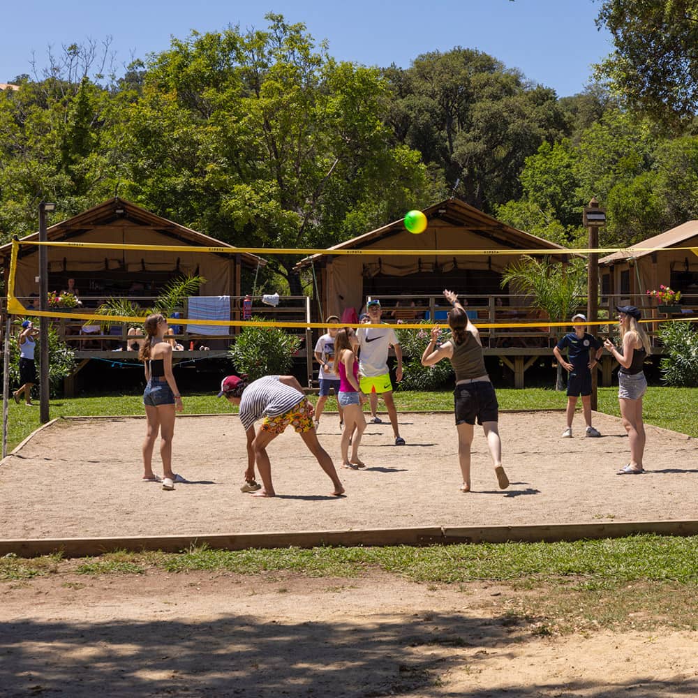 Terrain de volley-ball