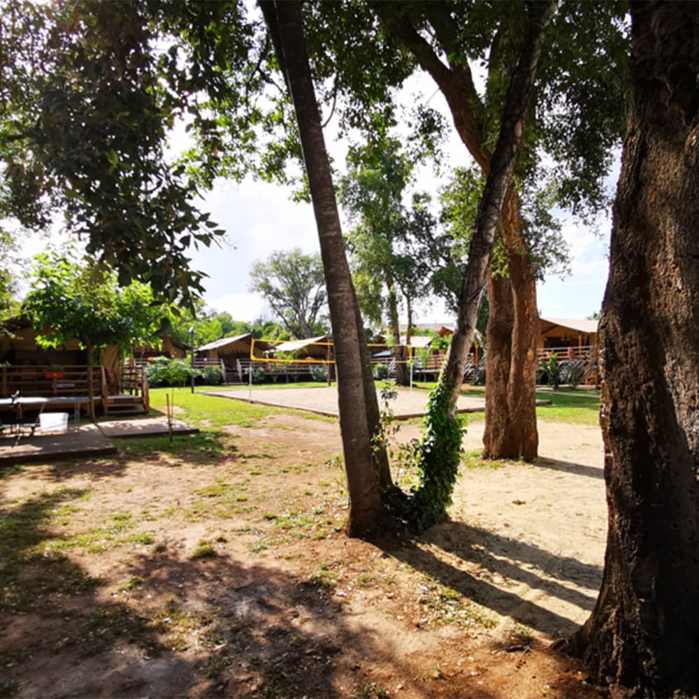 Terrain de pétanque - Lodges La Chenaie